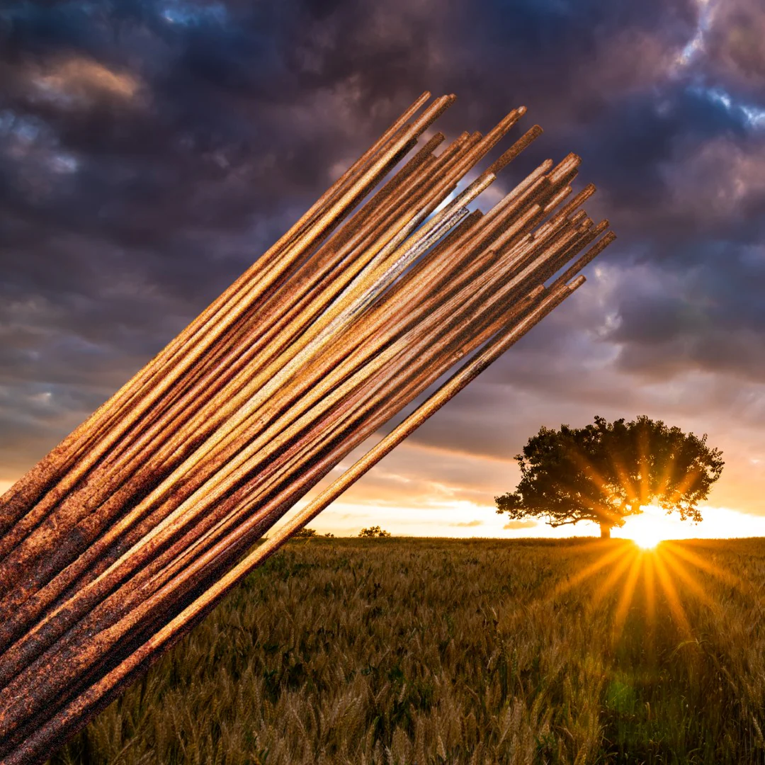 Good Earth™ - Image 2